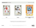 2025 Panini Donruss Elite Football Hobby Box - Image 2