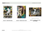 2024 Panini Select Baseball Hobby Box - Image 5